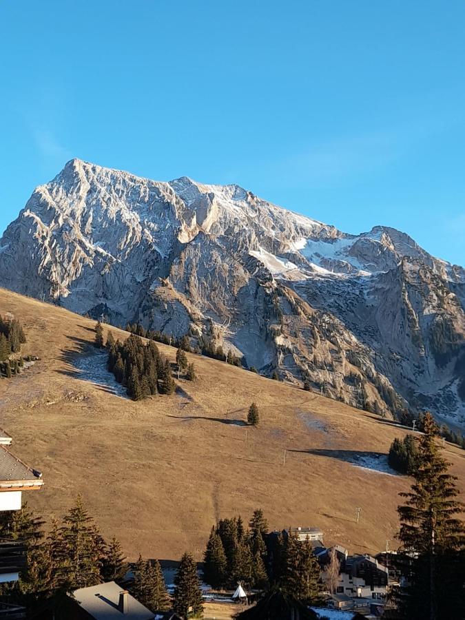 Appartement Au Coeur Des Aravis Manigod Exterior foto